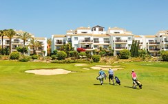Pine Cliffs Suite II